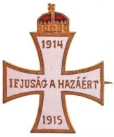 1915. "Ifjúság a Hazáért 1914-1915" zománcozott Cu jelvény, hátoldalán "Hadsegélyező Hivatal" (29x23mm) T:2