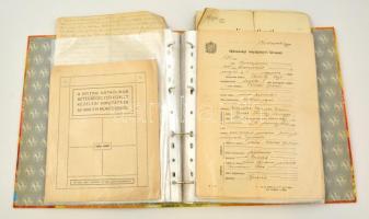 cca 1880-1920 Okmány és nyomtatvány gyűjtemény, Gyűrűs mappában kb 50 klf okmány, kisnyomtatvány, vegyes témákkal
