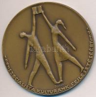 Dabóczy Mihály (1905-1980) 1965. "Szocialista Kultúránk Fejlesztéséért 1945-1965 / Budapest XI. kerületi Tanácstól - Április 4" kétoldalas Br emlékérem, eredeti dobozban (60mm) T:2