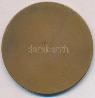~1960-1980. "Törzsgárda - Népi Ellenőrzés" zománcozott Br plakett (50mm) T:2