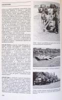 Hadtudományi Lexikon I-II. Szerk.: Szabó József. Bp., 1995, Magyar Hadtudományi Társaság. Kiadói műb...