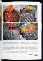 Bodor János: Szobakaktuszok. 88 színes oldal. Kertészkönyvtár. Bp., 2008, Mezőgazda. Kiadói kartonál...