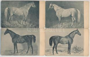 5 db RÉGI megíratlan lovas motívumlap / 5 pre-1945 unused horse motive cards