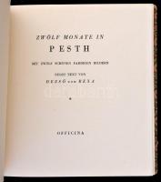 Rexa Dezső: Zwölf Monate in Pesth.(Százesztendős Pest-Budai képeskönyvetske.) [Bp., 1940], Officina....