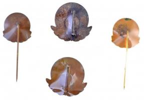 ~1970-1980. "Vízügyi Törzsgárda" 4xklf zománcozott fém jelvény és kitűző, 5 év (2x), 10 év...