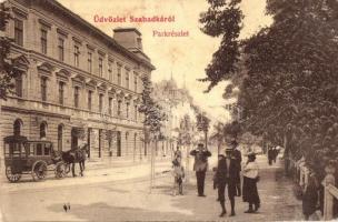 Szabadka, Subotica; park, út hintóval, Dr. Bányai fogorvos / park, street view with horse cart, dentistry (Rb)