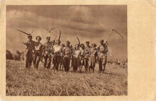 Közös aratás, magyar mezőgazdasági szocialista propagandalap. Képzőművészeti Alap / Harvest, Hungarian socialist propaganda card (EK)