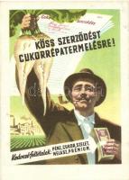 Köss szerződést cukorrépa termelésre! / Hungarian socialist propagandacard, beet production