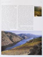 Alkonyi László: Tokaj - Dűlőmitológia. Az angol fordítás Lengyel Péter munkája. h.n., 2004, Spread B...