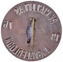 1976. "Polgári Védelem Kiállítás Angyalföldön - 1976" Al jelvény, Br rátéttel (35mm) T:2