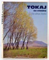 Szelényi Károly: Tokaj és vidéke. Táj változó fényben. Lázár István bevezetőjével.Bp., 1981, Corvina. Kiadói egészvászon-kötés, kiadói kissé szakadozott papír védőborítóban. A  szerző által dedikált!