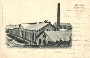 1901 Hatvan, Cukorgyár, gőzmalom. Hoffmann M. L. kiadása (EK)
