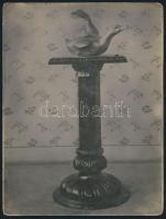 cca 1910-1920 Újpest, Nagy Ernő facsillárkészítő mester termékfotói, 5 db, 24x18 cm