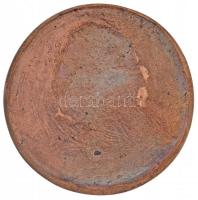 ~1994. "Dr. Balázs Dénes 70 éves" Br plakett (100mm) T:2