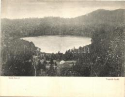 Tusnádfürdő, Szent Anna tó, Brunner Lajos panorámalapja / lake, panoramacard