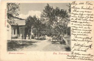 1899 Bia, Biatorbágy; Iharos villasor. Divald Károly