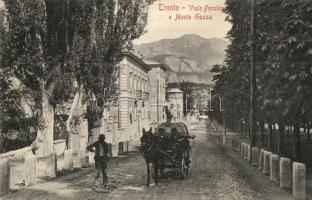 Trento, Viale Fersina e Monte Gazza / street view with carriage