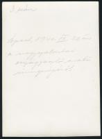 1940 A nagyszalontai országzászló avató ünnepsége Budapesten. Feliratozott fotó 18x12cm