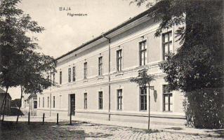 Baja, Gymnasium