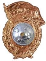 Szovjetunió ~1960-1970. "Szovjet Gárda jelvény" aranyozott, zománcozott fém jelvény csavar...