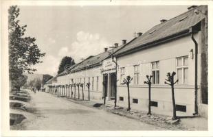 Pelsőc, Pelsücz, Plesivec; utcakép a gyógyintézettel / spa sanatorium, street view