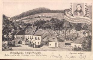 Hinterbrühl Mill (EB)