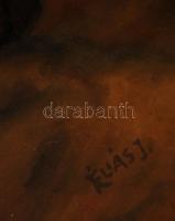 Éliás jelzéssel: Gyümölcs csendélet. Olaj, vászon, keretben, 50×60 cm