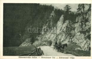 Sztracenai-völgy, Stracenovska dolina, Stratena; Kőkapu a dobsinai jégbarlanghoz / stone gate to the ice cave
