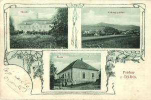 Celina, Zamek, Celkovy pohled, Skola / castle, general view, school, floral Art Nouveau (EK)