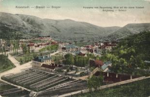 Brassó, Kronstadt, Brasov; Panorama vom Raupenberg, Blick auf die obere Vorstadt Scheii Brasovului / Bolgárszeg, Brassó városrészének látképe, Dr. Trenkler & Co. kiadása / general view (EK)