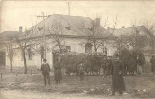 1914 Felsővisó, Viseu de Sus; helybeliek szénagyűjtés után / hay stacks, group picture of locals, photo (EK)