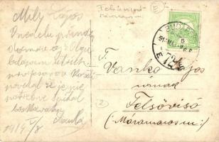 1914 Felsővisó, Viseu de Sus; helybeliek szénagyűjtés után / hay stacks, group picture of locals, ph...