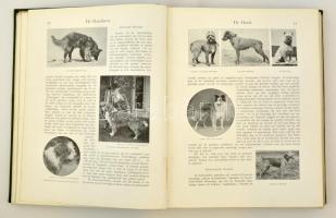 Gos. de Voogt: Onze Huisdieren. Amsterdam, 1905. Uitgevers-Maatschappy "Elsevier". Kiadói ...