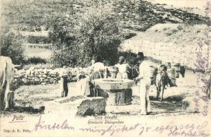 Pola, Cave Romane / Römische Steingruben / Roman stone mine  (Rb)