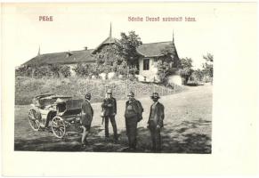 Pele, Becheni; Sántha Dezső szüretelő háza, hintó / grape harvesting house, cart