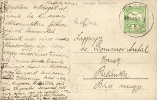 1909 Rafna, Ramna; mezőgazdasági telep, tehén / farm, cattle, cow, photo (EK)