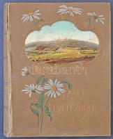 Látképes levelezőlapok. Díszes Art Nouveau fedelű képeslapalbum 200 férdőhellyel / Decorated Postcard album for 200 postcards (28 cm x 20,5 cm)