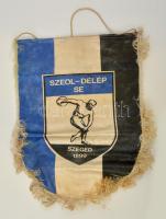 cca 1970 Szeged Szeol Délép SE selyem sport klub zászló / Sports flag 28x34 cm
