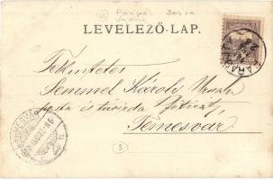 1901 Paripás, Parabuty, Parabuc (Ratkovo); Épülő óvoda és községháza, építkezés / kindergarten and c...