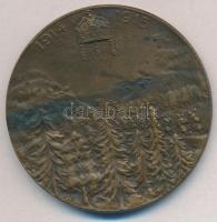 Osztrák-Magyar Monarchia / Neuberger Rudolf (1861-1916) 1915. "II. Vilmos - Ferencz József / Li...