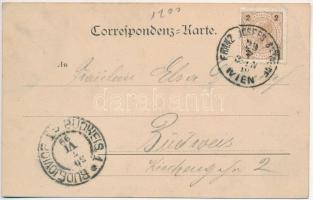 1899 Vienna, Wien; Baumschlag aus unterem Prater / tree fall (EK)