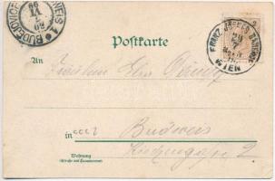 1899 Vienna, Wien; Stephans Dom, Graben / cathedral, street, J. Miesler Art Nouveau litho (EK)