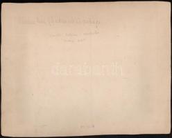 1903 Olaszliszka, a birtokos Zsedényi család egy szobája. Nagyméretű kép. 30x24 cm