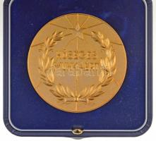 ~1970-1980. "Kismotor- és Gépgyár" 30 éves "Hűséges munkáért" aranyozott fém eml...