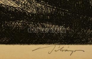 Bálványos Huba (1938- ): Őszi nap. Rézkarc, karton, jelzett, 22×29 cm