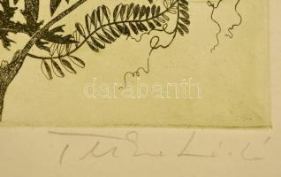 Tuka László (1924-): Pipacs. Színes rézkarc, papír, jelzett, 48×24 cm