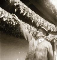 cca 1962 Eger, Dohánygyár, 21 db szabadon felhasználható vintage negatív, 6x6 cm