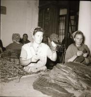 cca 1962 Eger, Dohánygyár, 21 db szabadon felhasználható vintage negatív, 6x6 cm