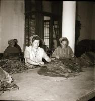 cca 1962 Eger, Dohánygyár, 21 db szabadon felhasználható vintage negatív, 6x6 cm