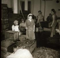 cca 1962 Eger, Dohánygyár, 21 db szabadon felhasználható vintage negatív, 6x6 cm